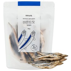 조공북어트릿