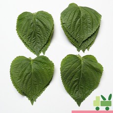 찹찹이깻잎2kg