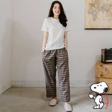 노먼도이지