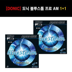 블루스톰프로 TOP01
