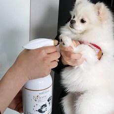 강아지발소독