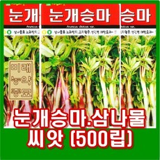 눈개승마 씨앗 (500립) / 삼나물 씨앗 (500립) 23년생산, 1개