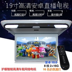 카니발천장tv19인치