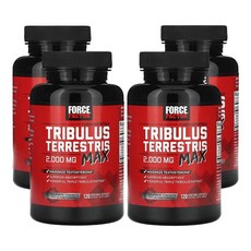 포스팩터 펀더멘탈 트리블러스 테러스트리스 맥스 2 000mg 베지 캡슐 120 정(캡슐 1정당 500mg), 4개, 120캡슐, 120정