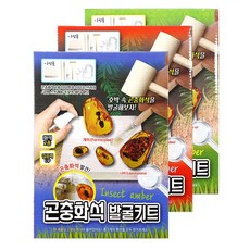 6000 곤충화석 발굴 세트