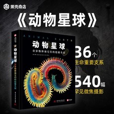 타오바오스토어