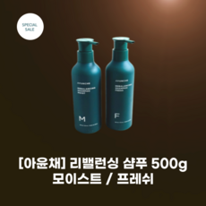 [아윤채] 아윤채_리밸런싱 샴푸 500g 두가지 type_두피 방어력 강화 탈모 증상 완화 라인 헤어 디자이너들의, 1개, 모이스트