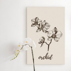 cu바나나