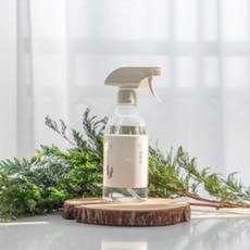 곰팡이냄새제거식물