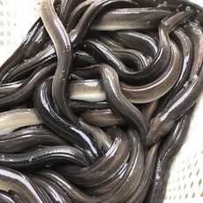 철따라농산물 자포니카 민물장어 1kg(1-2미) 700g내외(+소스2봉), 철따라농산물 자포니카 민물장어 1kg(1-2미) 700, 1개