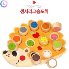 센서리교구