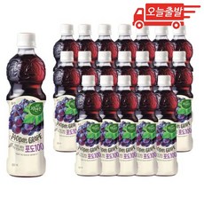 자연은 포도100 주스, 500ml, 20개