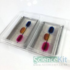 [C.S](SC) 미니 전기영동 장치-이온의 이동 (4인용) 학습교구 과학실험 실험교구 과학실험키트 과학교구 과학교재 단체실험 조별실험