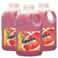 흥국에프엔비 자몽 농축액 1.5L 3개...