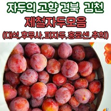 김천 제철 자두 대석자두 홍로센 피자두 후무사자두 추희자두 1kg 2kg 3kg 4kg, 1개