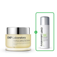 인꾸키트꾸미기