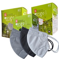 스탠다드핏2d마스크