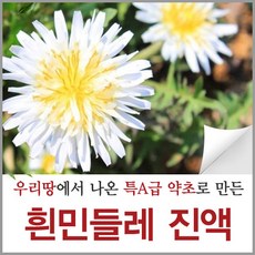 신토불이약초 흰민들레 진액 양구 하얀민들레 즙 액기스 원액 90ml 60포