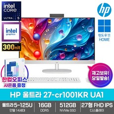 HP 올인원 PC 울트라 27-cr1001KR UA1 16GB램/SSD512GB/인텔14세대/울트라5-125U/Win11