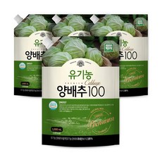 양배추다이어트