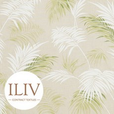iliv원단