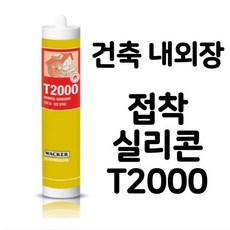 t2000실리콘