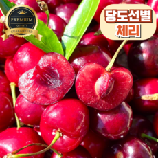 체리 TOP01