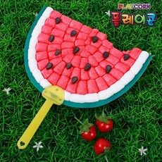 플레이콘수박부채