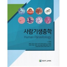 김아름