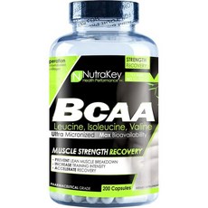 뉴트라키 BCAA 일렉트로라이드 파우더 근육구축 식 체인 아미노산 1500mg 400캡슐, 1 Count (Pack of 200), 200정 - 실크아미노산파우더