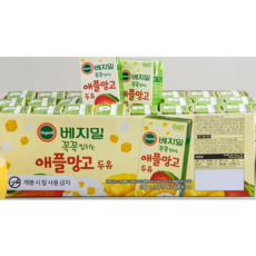 트레이더스트램폴린