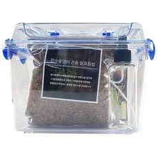 장수풍뎅이애벌레키우기