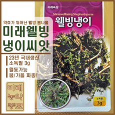 냉이씨앗 TOP01