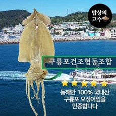 구룡포 마른오징어 동해안 오징어 국내산 울릉도 독도 5마리 500g, 1개