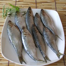 자연산 생물전어 1kg(구이용), 상세페이지 참조