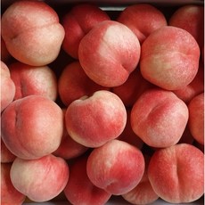 신비복숭아5kg-추천-상품