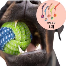 GLOW 강아지 터그놀이 로프&매듭볼 치석제거 장난감, 1개, 랜덤색상