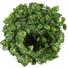 5298f07c62e72a75cd557d281469936249d87e4c4366cdf18e400475a899.jpg