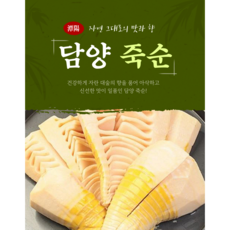 죽순 담양 삶은죽순 분죽 300g 1kg 죽순요리 죽순채 아삭하고 부드러운 생죽순, 1개, 죽순채 300g