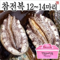 직접키운 완도참전복 12~14마리 1kg 완도, 1개