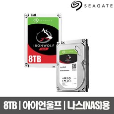 씨게이트 아이언울프 NAS HDD, ST8000VN004, 8TB