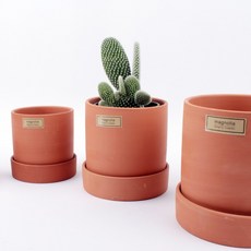 오누즈어린이화분