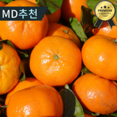 당도선별 고당도 제주 감귤, 1개, 귤 중대과 5KG(S~2L)