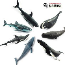혹등고래
