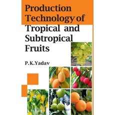 욕망하는테크놀로지