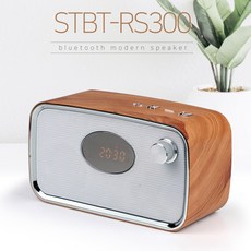 stbt-rs300