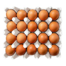 HACCP 난각번호 1번 자연방사 유정란, 1개, 20구
