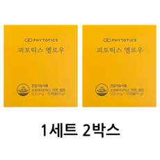 피토틱스 옐로우 프로바이오틱스 500mg 60정 1세트