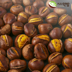 키즈약밤