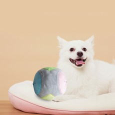 대형로봇강아지